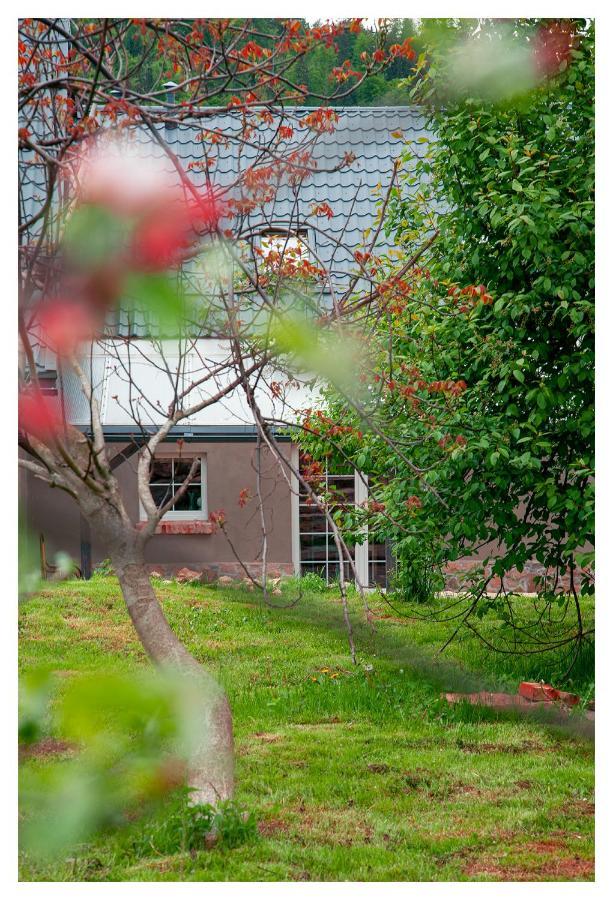 Kozy I Roze Villa Oldrzychowice Klodzkie Ngoại thất bức ảnh