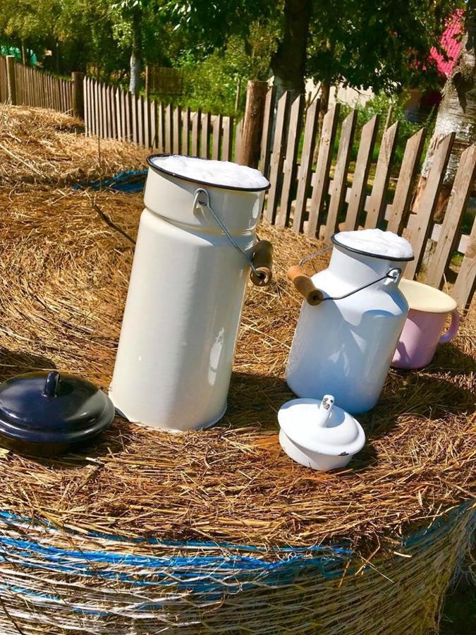 Kozy I Roze Villa Oldrzychowice Klodzkie Ngoại thất bức ảnh